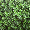 Esfera Cesped Artificial Arbusto N3 17cm Calidad 1