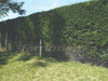 Malla Electrosoldada 50x50mm 10mts 75cm Alto Alambre Galv 6