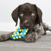 Kong Dotz Square Extra-small - Juguete Para Perros 4