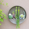 Plantas Suculentas Colgante De Pared Artificial, Plantas Art 0