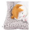 Decoração Simulada Para Gatos Dormindo, Remoção De Carvão De 7