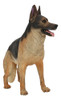 Modelo De Simulação De Brinquedo De Cão Pastor Alemão Orname 1