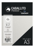 Block Caballito & Canson A3 180 Grs 20 Hojas - Mosca 2