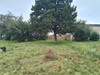 Chacra De 6has. Campo. Alquiler 7