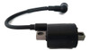 Bobina De Ignicion Parsun Tohatsu Mercury Parsun T4 Y 5 Hp 3
