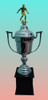 Trofeo Copa De Chapa 1