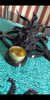 Baphomet Para Velas 5