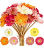 Margaritas Artificiales Flores Artificiales Gerbera Daisy Fa 0