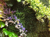 Jardin Vertical Muro Verde Cesped Pack X 20 Unid - Sheshu 3