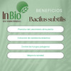 Bacilus Subtilis 1