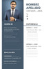 Cv Curriculum Vitae Armado Personalizado 1
