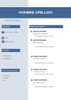 Cv Curriculum Vitae Armado Personalizado 7