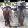 Vitamina De Cavalo Para Casco E Pelo Fortes E Brilhantes 3kg 7