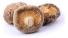 Hongos Shitake Premium - 1 Kg 1
