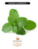 Extrato Glicólico De Menta 100g 1
