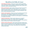 Folha De Louro - 100g 2