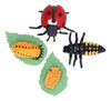 Conjunto De Modelos De Joaninha De Vinil Lifelike Life Cycle 3