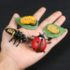 Conjunto De Modelos De Joaninha De Vinil Lifelike Life Cycle 5