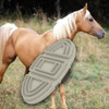 Escova De Preparação De Cavalo, Ferramenta De Cinza 4