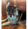 Huevo De Pascua Decorativo Perro Collar Por Midlee 1