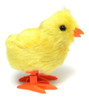 Pollito Camina A Cuerda 4