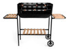 Parrillero Portatil Para Camping Picnic Rodeio + Regalo 0