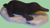 Ornitorrinco, Material Didactico Para Enseñanza, 6024 1