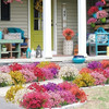 12 Paquetes De Flores Moradas Artificiales Para Exterior 6