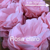 Kit 800 Forminhas  Para Doces Mod  Style 6