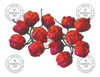 Pimenta Fresca Carolina Reaper Fruta In Natura - 500 Gramas 3