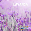 Desodorante De Piso Concentrado Lavanda Rinde Hasta 90 Lts 2