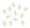 Hormigas Gigantes Blancas 12 Uni 5 Cm  Decoración Halloween 0 Hormigas Gigantes Blancas 12 Uni 5 Cm  Decoración Halloween 0