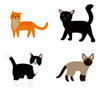 Kit De Costura Para Animais Bicho De Pelúcia Gato 1