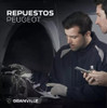 Tensor De Poly V 308-408- C4 Lounge -  1.6 Hdi Original 1