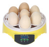 Brooders Transparent Hatcher Ac110v. Máquina De Temperatura 3