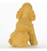 Caniche Sportcut  figura De Perro Albaricoque 1