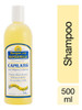 Kit Capilatis Manzanilla 500ml - Shampoo + Enjuague 1