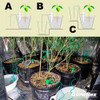 Riego Ceramico Indoor Box Cultivo X1 Growflex 2 Riego Ceramico Indoor Box Cultivo X1 Growflex 2