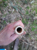 Quena Material De Bambú Para Construirlas 10 Unidades 3