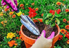 Paleta Transplanter De Edward Tools Aluminio A Prueba De Cur 1