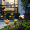 ~? Pannow Large Metal Glass Solar Flowers Yard Art, Garden S 2