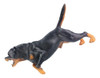 Modelo De Cão Para Educação | Ornamentos Para Cães 3
