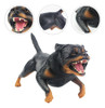 Modelo De Cão Para Educação | Ornamentos Para Cães 4