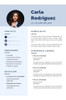 Currículum Vitae Formal Digital Pdf 5