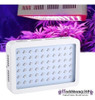 Chips Dual 600w Completo Espectro De La Luz Led Planta Crece 2