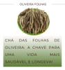 Poderoso Chá Oliveira Folhas | Verdadeiro E Puro 50g 7