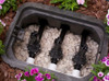 Caja Para Valvula De Riego Jumbo Cuadrangular 2