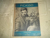 Libros De Pintura - Picasso 0