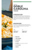 Arroz Doble Carolina Org. Sin Tacc Pampa´s Organic 2 X 500gr 3
