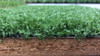 Cesped Sintetico Pasto 12mm Premium 2m2 (2m X 1m) Jardin 4